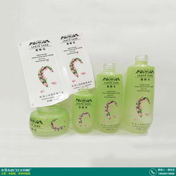 从烟台DVD导航贴纸到科教玩具 探索多元生活与教育需求